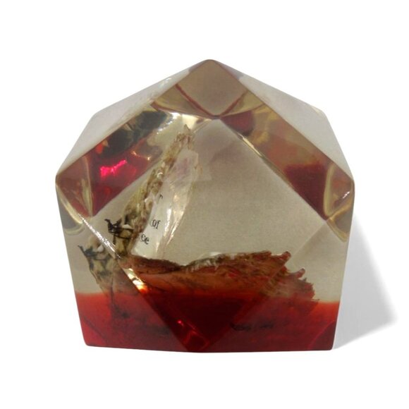 CHRISTIAN PAPERWEIGHT Shell with Pearl Red and Clear Lucite Vintage - Picture 5 of 10